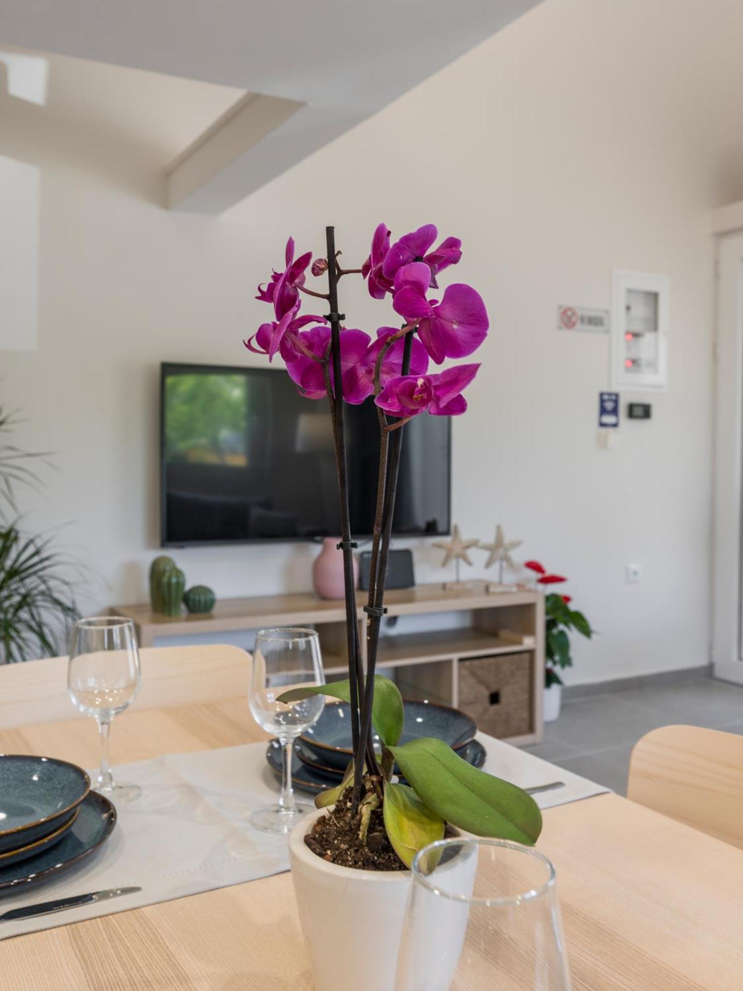 Eranthis Apartamento Chrissi Akti Chania